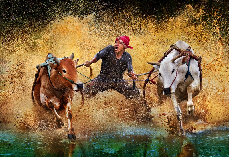 304 - TURBO CHARGE - HO HENRY - hong kong.jpg